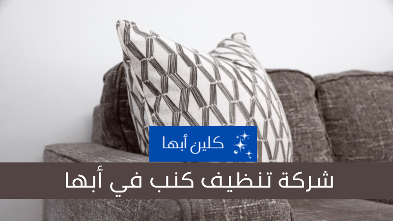 شركة تنظيف كنب في أبها